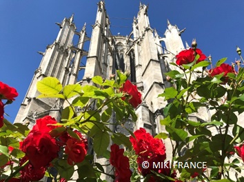 800年間未完成の大聖堂～ボーヴェ みゅうパリブログ｜オプショナル